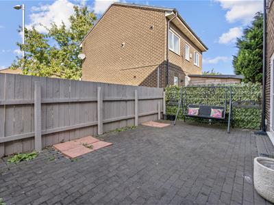 Picture 17